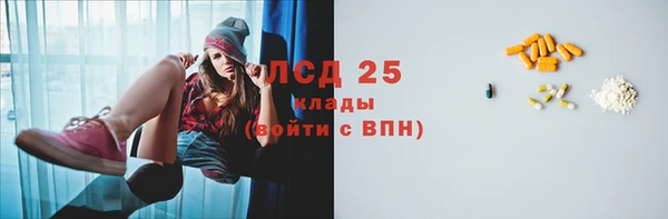ПСИЛОЦИБИНОВЫЕ ГРИБЫ Медвежьегорск