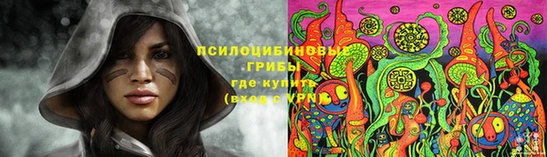 меф Мегион