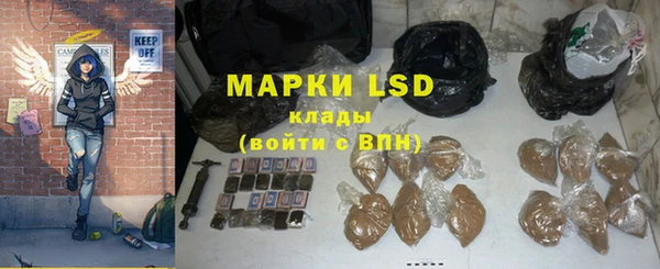 ПСИЛОЦИБИНОВЫЕ ГРИБЫ Медвежьегорск