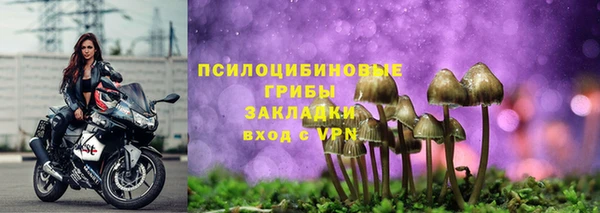 ПСИЛОЦИБИНОВЫЕ ГРИБЫ Медвежьегорск