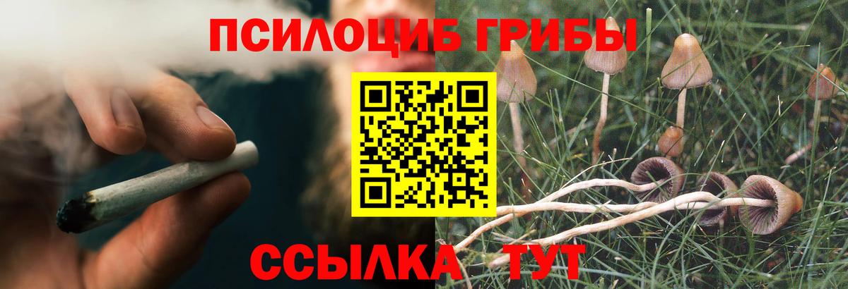 Псилоцибиновые грибы мухоморы  Псилоцибиновые грибы ЛСД  Тобольск  Вход с VPN 